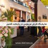 نمایشگاه فرش مرینوس در پایتخت کشور 2